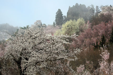 f0137324_2010295.jpg