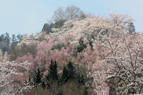 f0137324_20103885.jpg