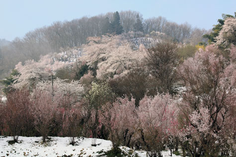 f0137324_20105171.jpg