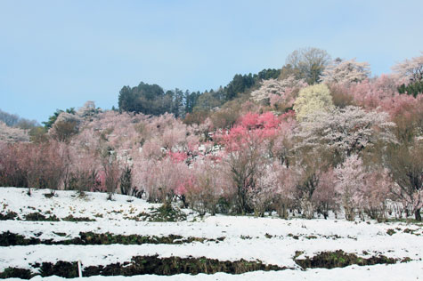 f0137324_20111287.jpg