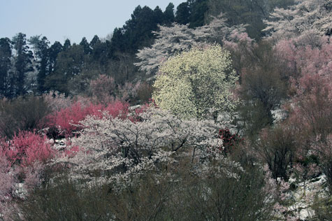 f0137324_2011155.jpg