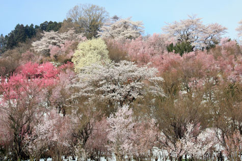 f0137324_20112371.jpg