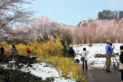 f0137324_20113349.jpg
