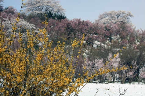 f0137324_20114451.jpg