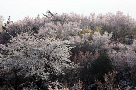 f0137324_20124423.jpg