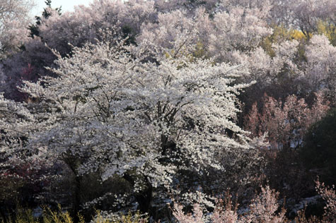 f0137324_2012573.jpg