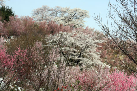 f0137324_2012849.jpg