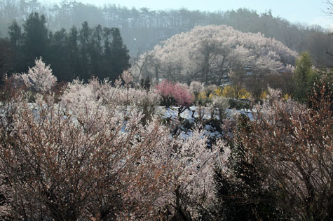 f0137324_20132117.jpg
