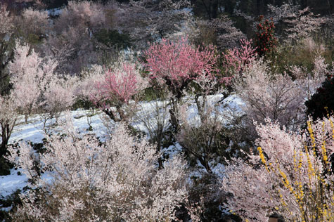 f0137324_20134798.jpg