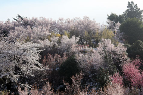 f0137324_2013994.jpg