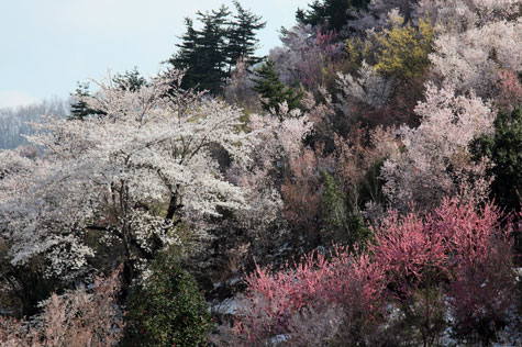 f0137324_20143991.jpg