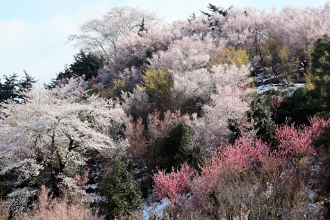 f0137324_2015113.jpg