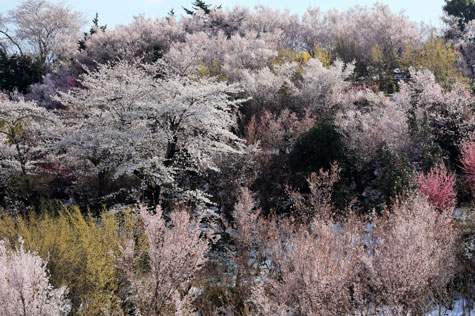 f0137324_20151376.jpg