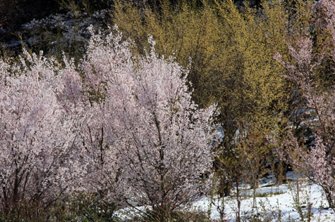 f0137324_20152716.jpg