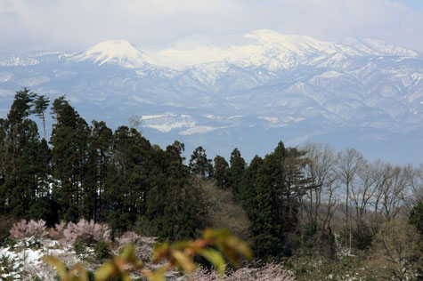f0137324_20182180.jpg