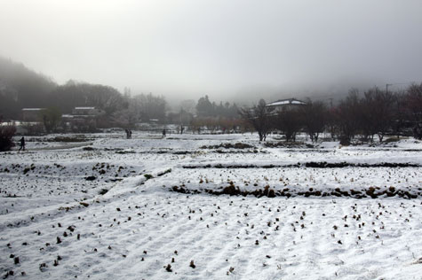 f0137324_2071283.jpg