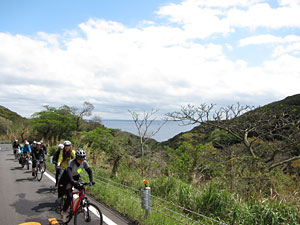 d0023725_11212982.jpg