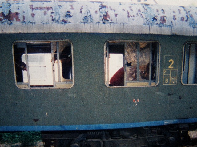 a0163227_9353114.jpg