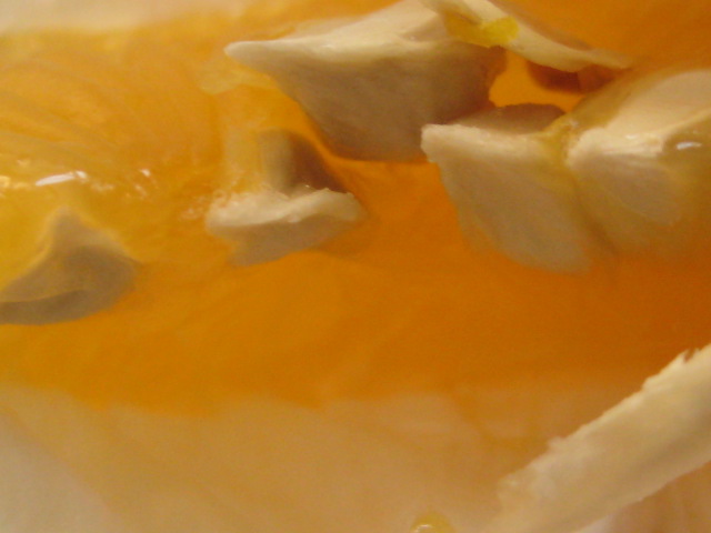 d0147727_7205596.jpg