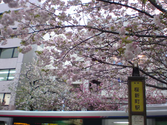 e0016828_10201262.jpg
