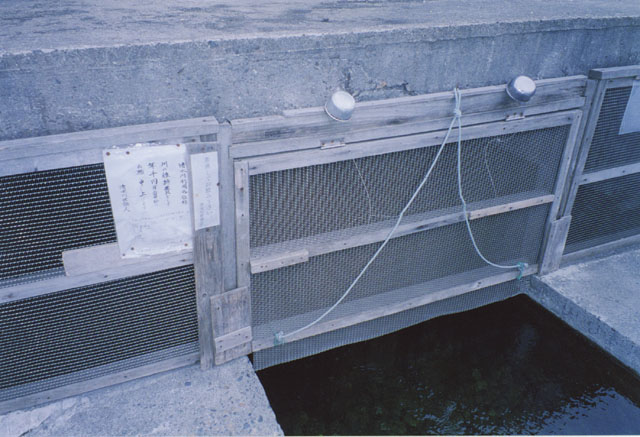 e0171334_17415382.jpg