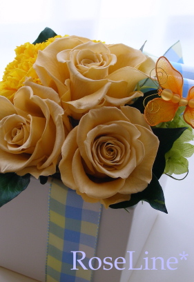 f0238135_1543550.jpg