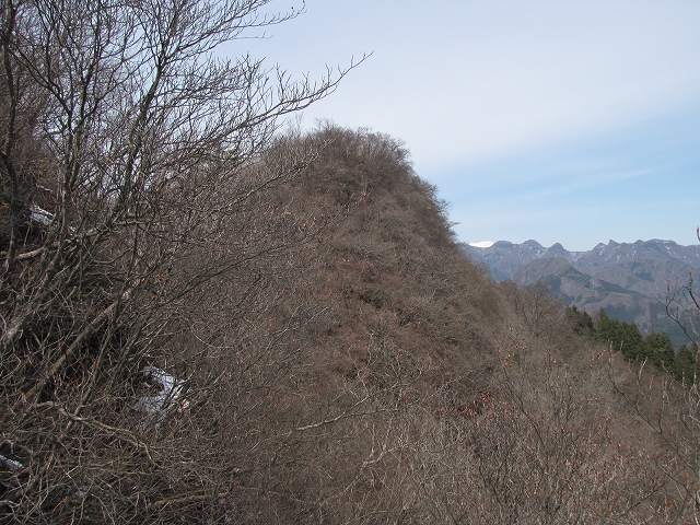 b0097836_16164569.jpg