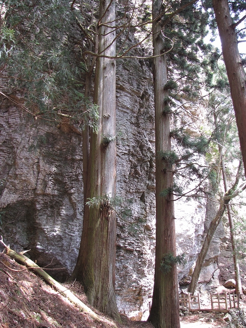 b0097836_16175410.jpg