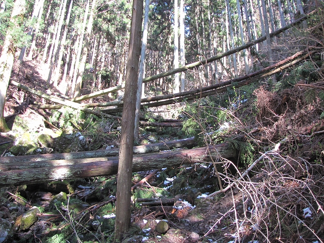 b0097836_9115962.jpg