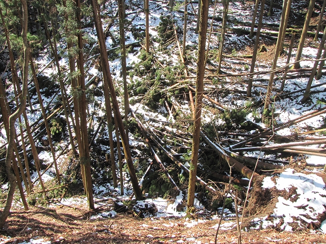 b0097836_9151942.jpg