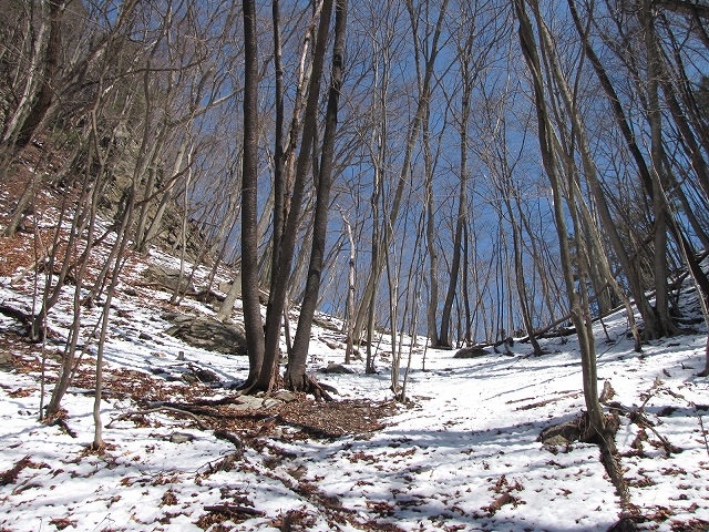 b0097836_9222029.jpg
