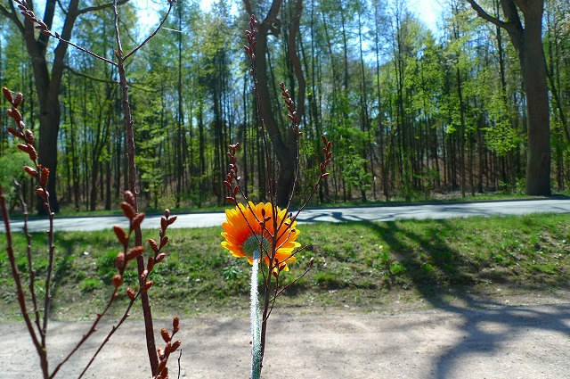 c0153740_04221.jpg