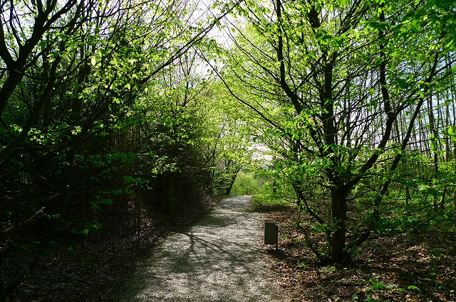 c0153740_22114932.jpg