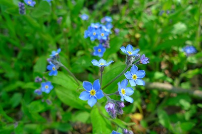 c0153740_22233389.jpg