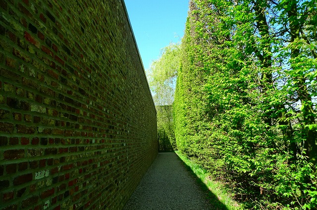 c0153740_2224772.jpg