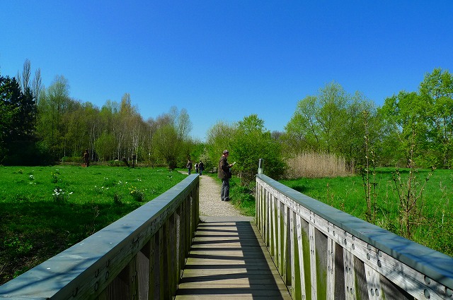 c0153740_22362540.jpg