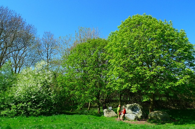 c0153740_23431895.jpg
