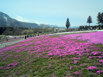 b0154343_2221049.jpg