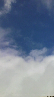 a0163444_2473224.jpg
