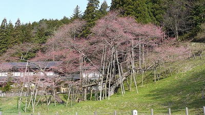 c0220047_915216.jpg