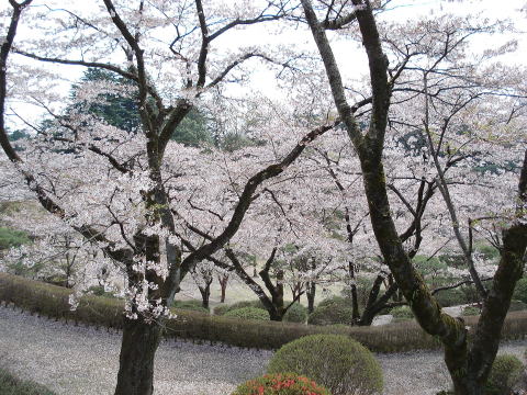 f0041850_18161858.jpg
