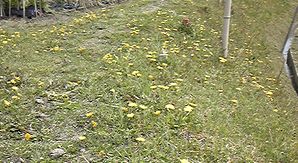 a0111756_15472887.jpg