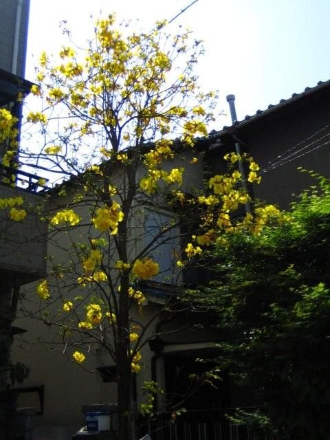 a0081957_2291424.jpg