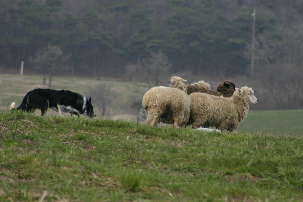 f0161158_2323827.jpg
