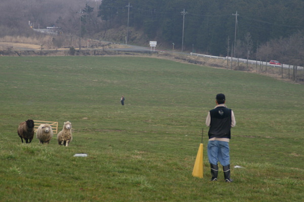 f0161158_2325751.jpg