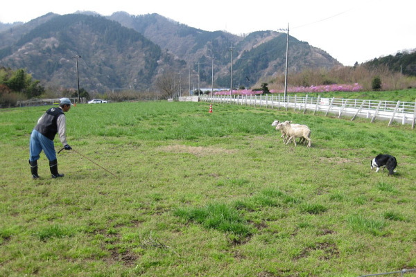 f0161158_23943.jpg