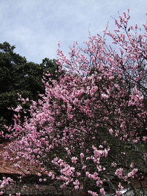 a0151659_20101154.jpg