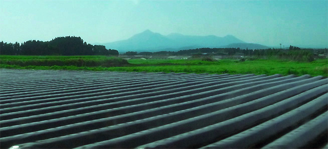 c0156359_8491391.jpg