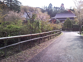 a0157160_233140100.jpg