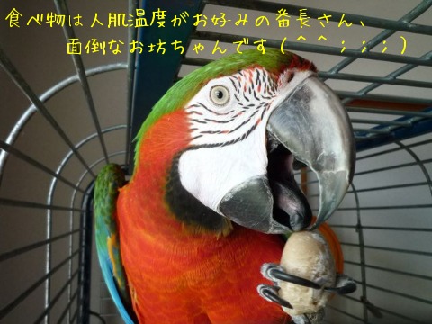 f0177261_15585925.jpg